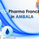 PCD Pharma Franchise in Ambala